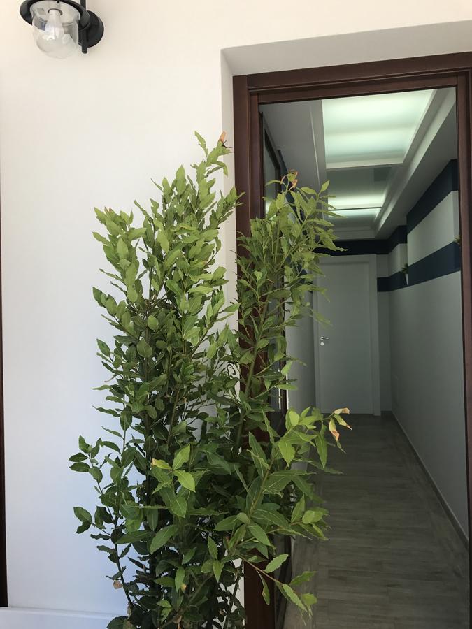 Elisir Suite Rooms By Marino Tourist San Vito Lo Capo Buitenkant foto